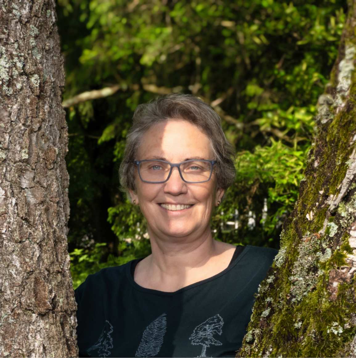 echtzeit waldbaden sybille schaefer