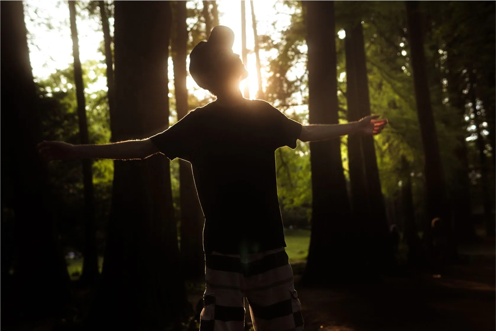 wald meditation waldbaden mystische stimmung